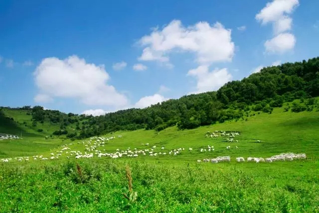 俄罗斯·专享会(中国集团)官方网站