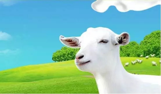 ����˹��ר����(�й�����)�ٷ���վ