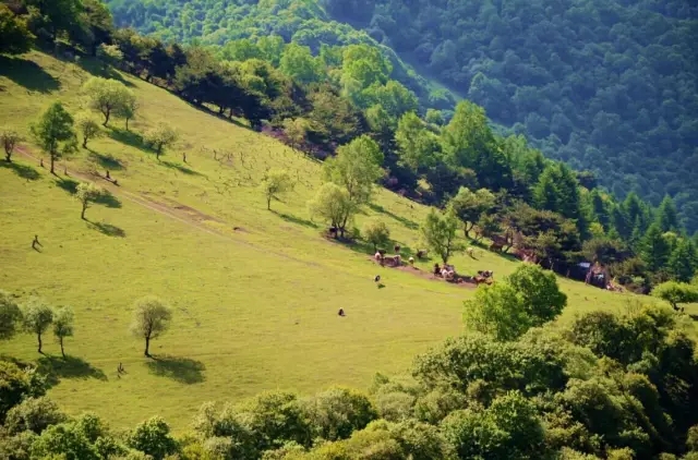 ����˹��ר����(�й�����)�ٷ���վ