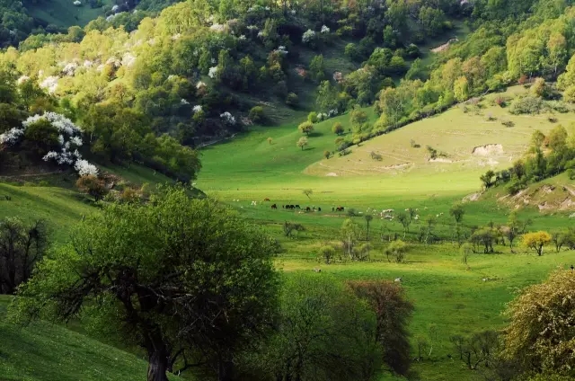 俄罗斯·专享会(中国集团)官方网站