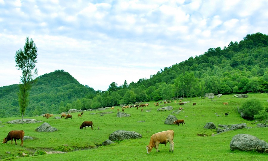 ����˹��ר����(�й�����)�ٷ���վ