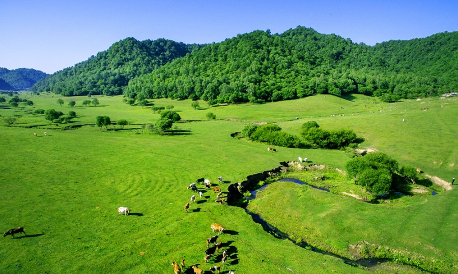 ����˹��ר����(�й�����)�ٷ���վ