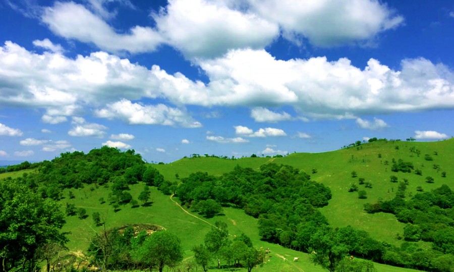 ����˹��ר����(�й�����)�ٷ���վ