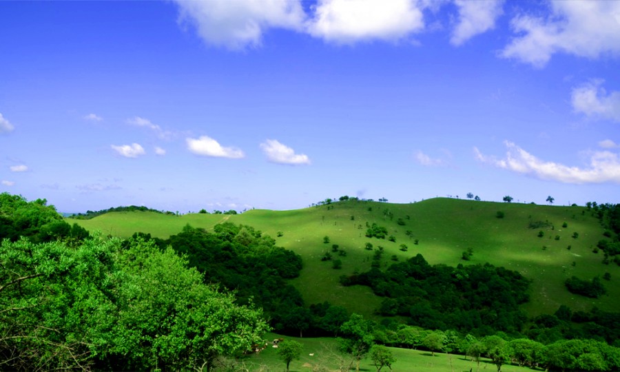 ����˹��ר����(�й�����)�ٷ���վ