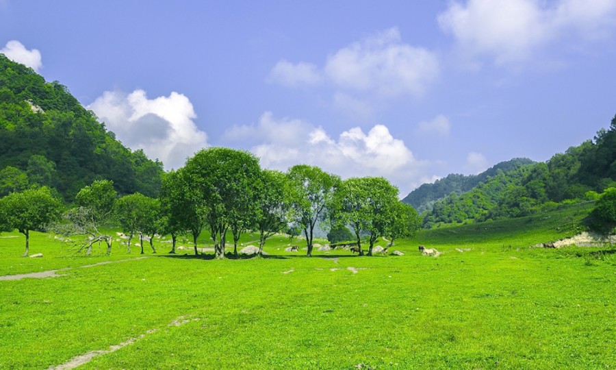 ����˹��ר����(�й�����)�ٷ���վ