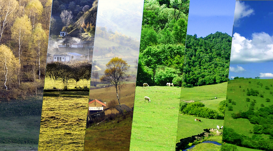 ����˹��ר����(�й�����)�ٷ���վ