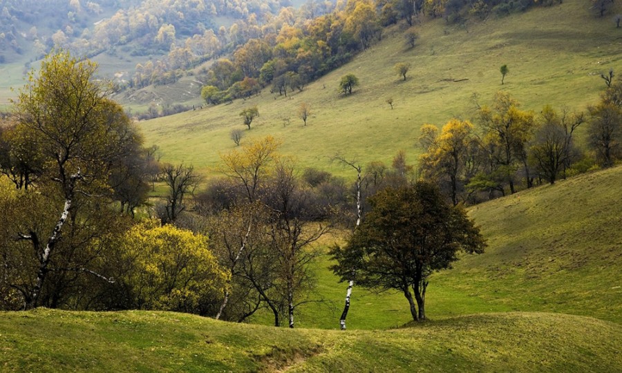 俄罗斯·专享会(中国集团)官方网站
