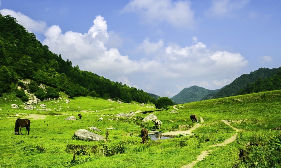 俄罗斯·专享会(中国集团)官方网站