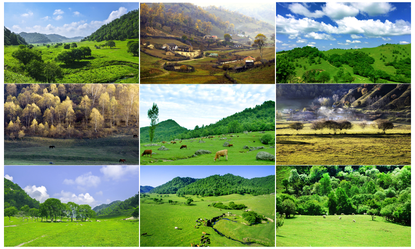 俄罗斯·专享会(中国集团)官方网站