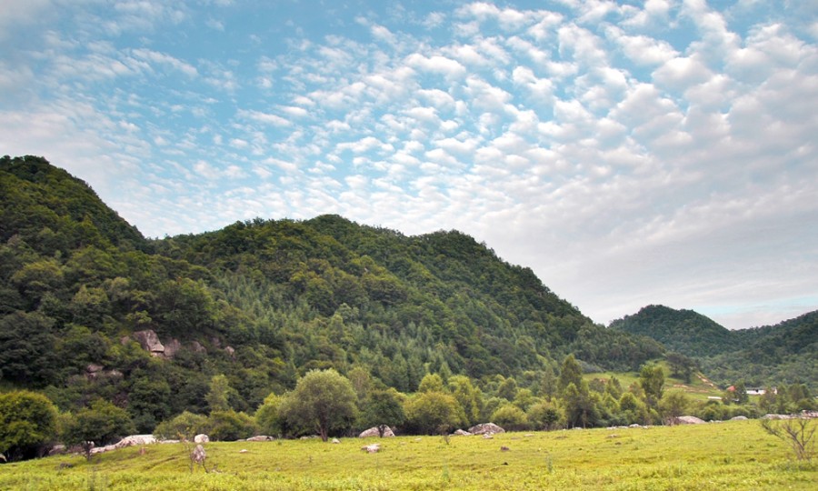 俄罗斯·专享会(中国集团)官方网站