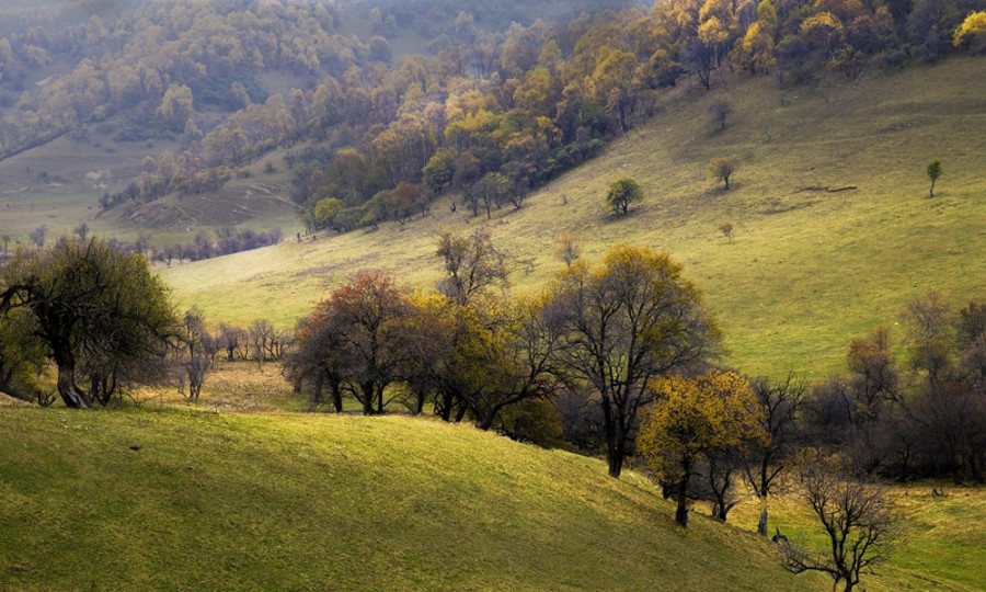 俄罗斯·专享会(中国集团)官方网站