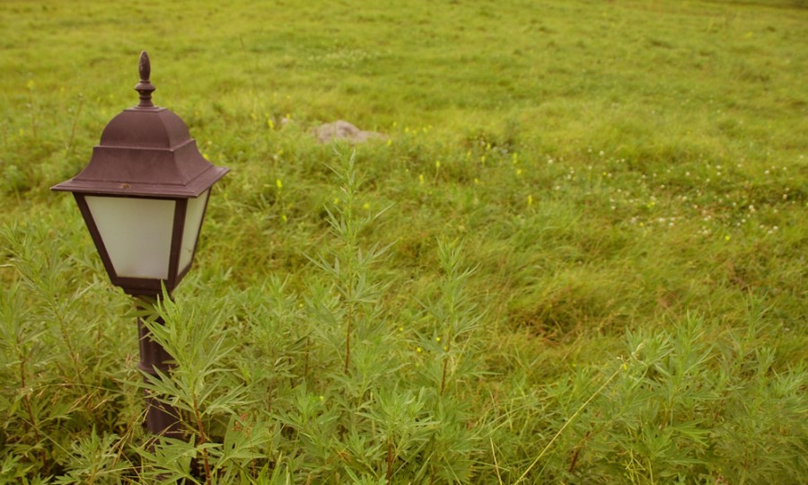 俄罗斯·专享会(中国集团)官方网站