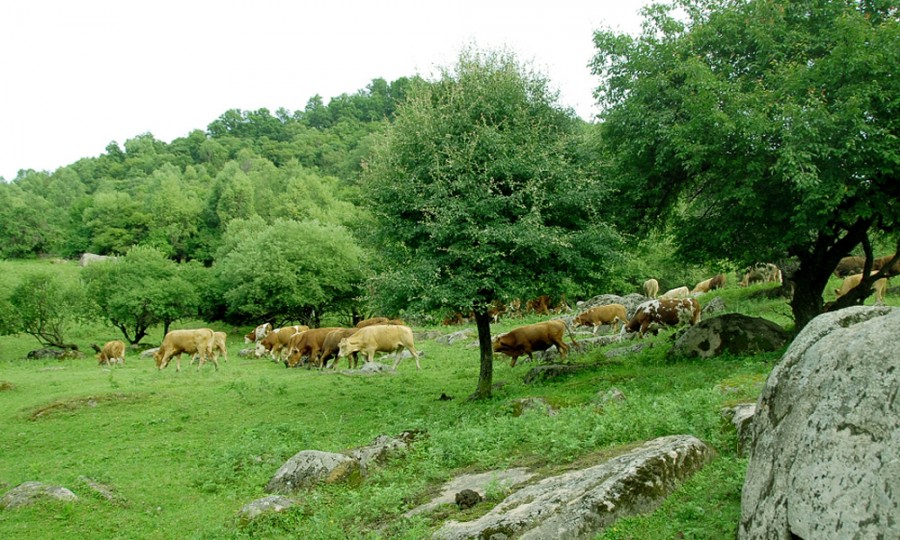 俄罗斯·专享会(中国集团)官方网站