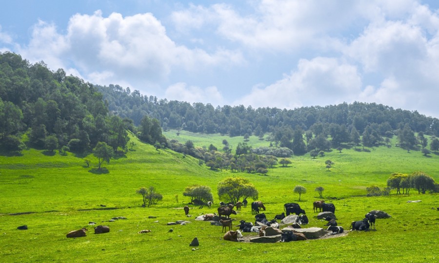 俄罗斯·专享会(中国集团)官方网站