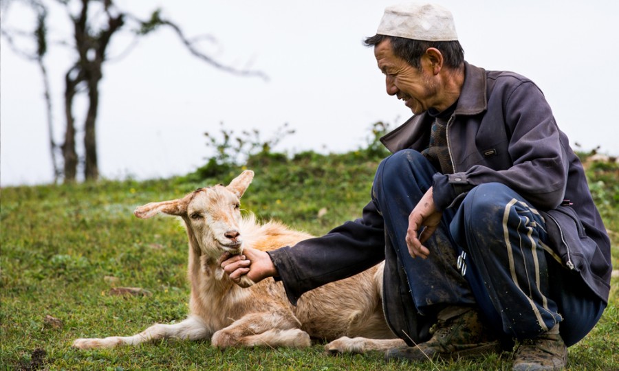 俄罗斯·专享会(中国集团)官方网站