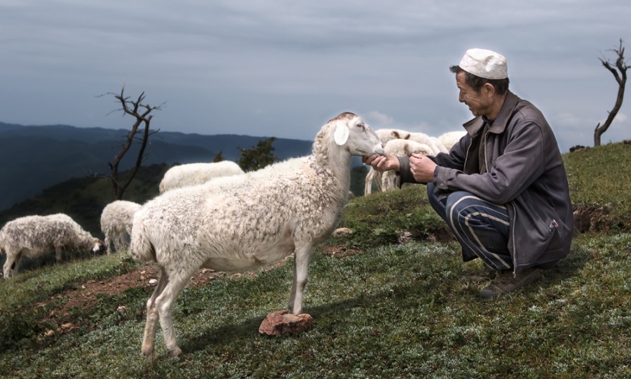 俄罗斯·专享会(中国集团)官方网站