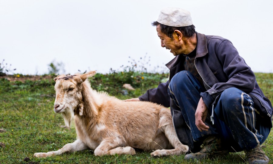 俄罗斯·专享会(中国集团)官方网站