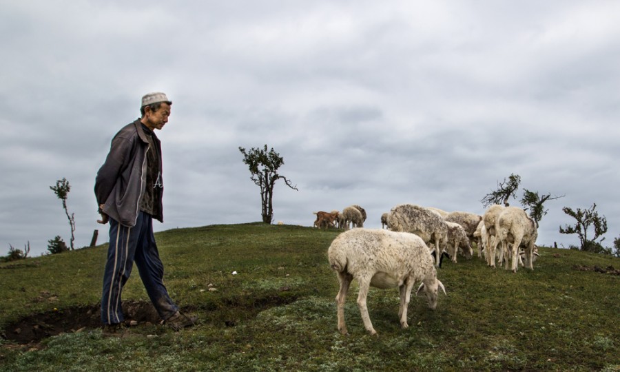 俄罗斯·专享会(中国集团)官方网站