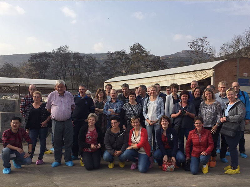 ����˹��ר����(�й�����)�ٷ���վ