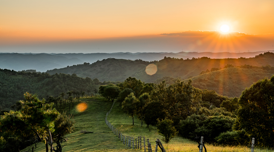����˹��ר����(�й�����)�ٷ���վ