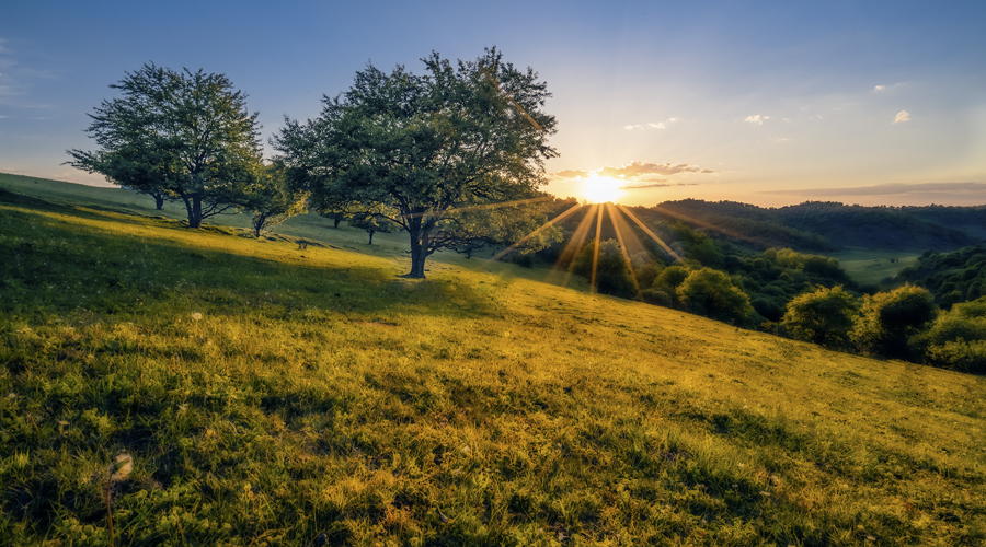 ����˹��ר����(�й�����)�ٷ���վ