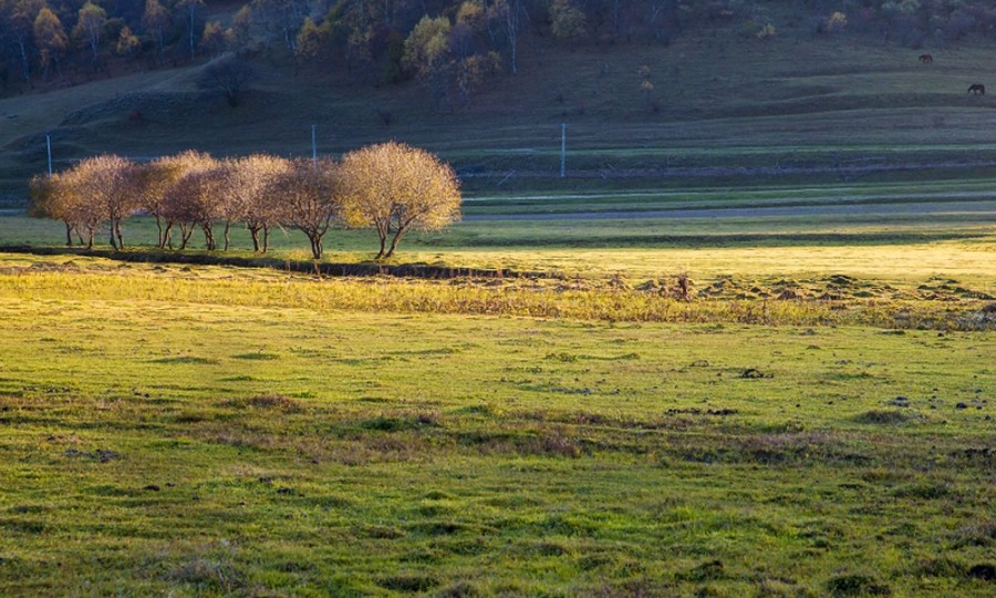 ����˹��ר����(�й�����)�ٷ���վ