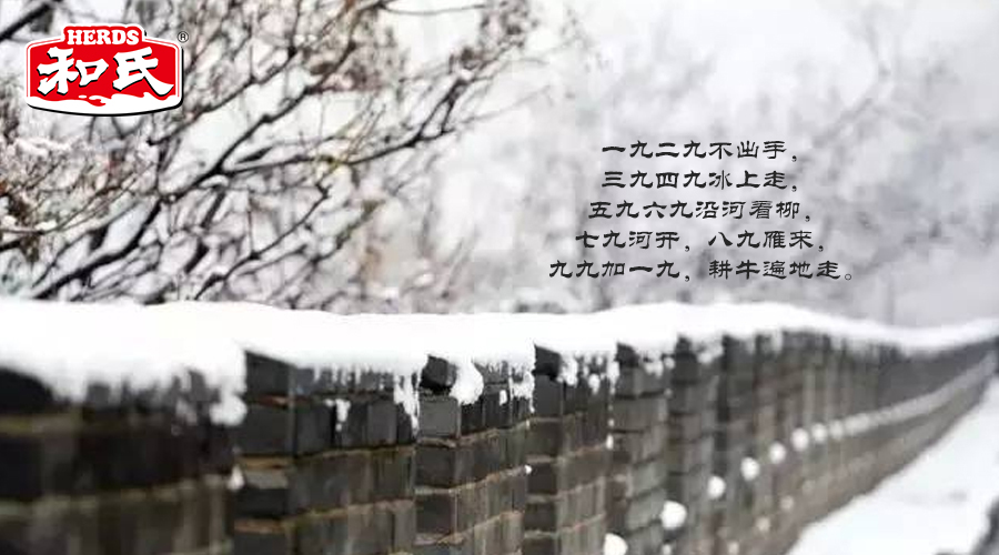 ����˹��ר����(�й�����)�ٷ���վ