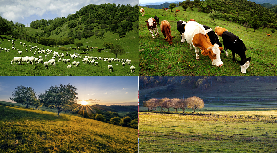 ����˹��ר����(�й�����)�ٷ���վ