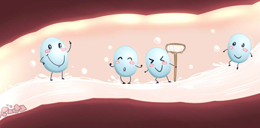 ����˹��ר����(�й�����)�ٷ���վ