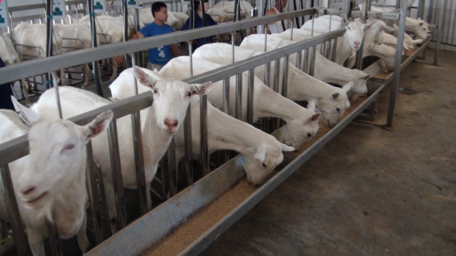 ����˹��ר����(�й�����)�ٷ���վ