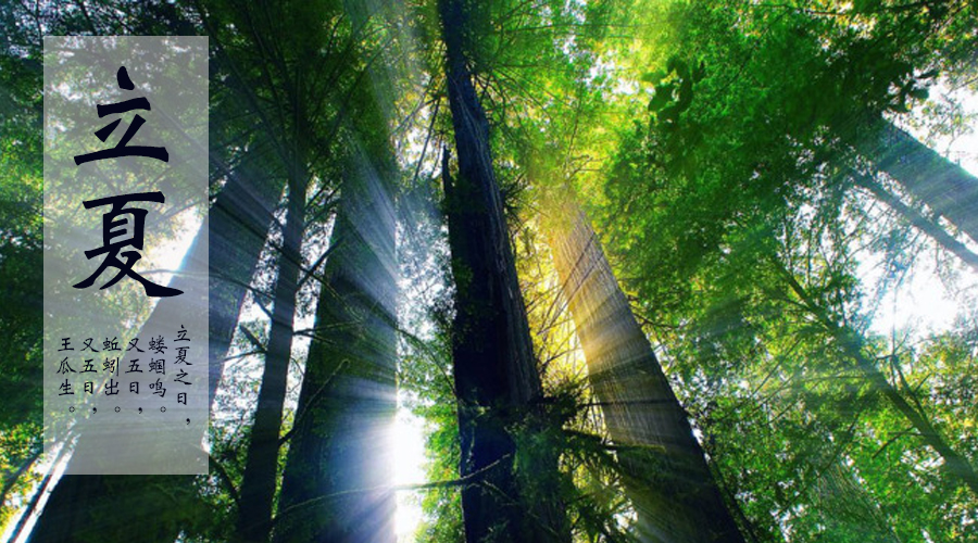 ����˹��ר����(�й�����)�ٷ���վ