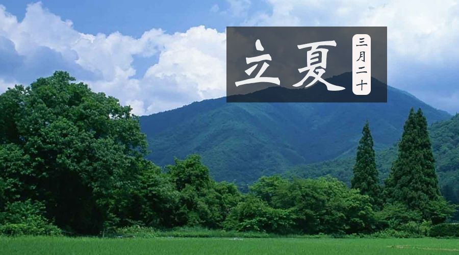 ����˹��ר����(�й�����)�ٷ���վ