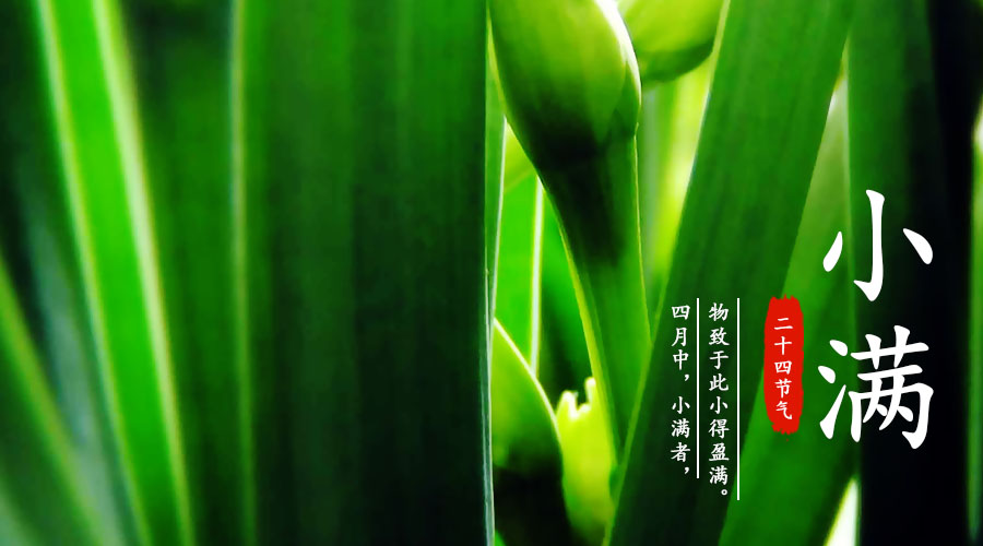 ����˹��ר����(�й�����)�ٷ���վ