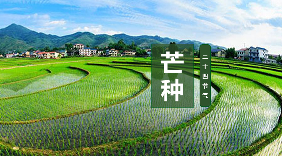 俄罗斯·专享会(中国集团)官方网站