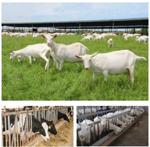 俄罗斯·专享会(中国集团)官方网站