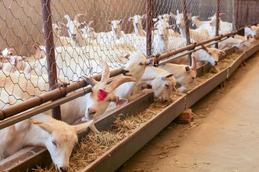 俄罗斯·专享会(中国集团)官方网站