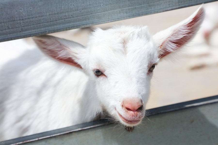 俄罗斯·专享会(中国集团)官方网站