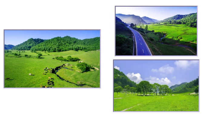 ����˹��ר����(�й�����)�ٷ���վ