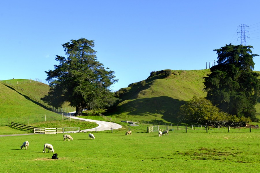 ����˹��ר����(�й�����)�ٷ���վ