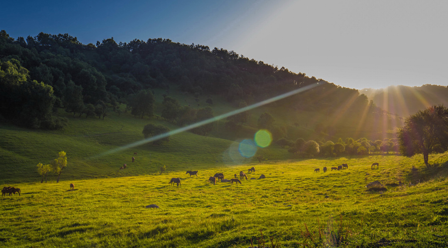 ����˹��ר����(�й�����)�ٷ���վ