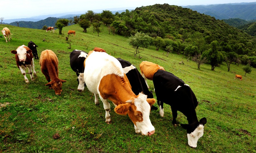 ����˹��ר����(�й�����)�ٷ���վ