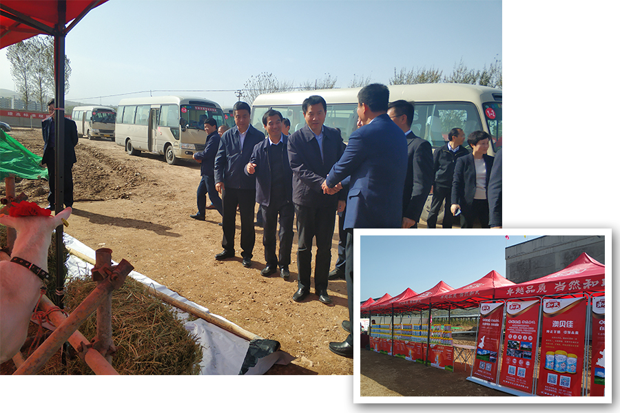 ����˹��ר����(�й�����)�ٷ���վ