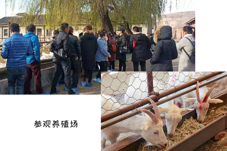 ����˹��ר����(�й�����)�ٷ���վ