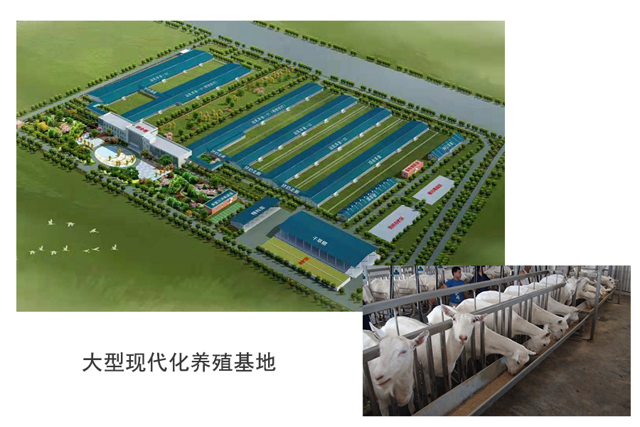 ����˹��ר����(�й�����)�ٷ���վ