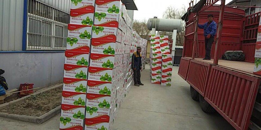 ����˹��ר����(�й�����)�ٷ���վ