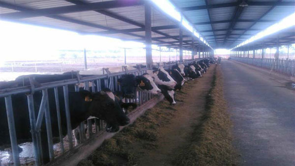 俄罗斯·专享会(中国集团)官方网站