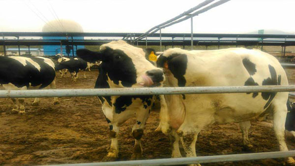 俄罗斯·专享会(中国集团)官方网站