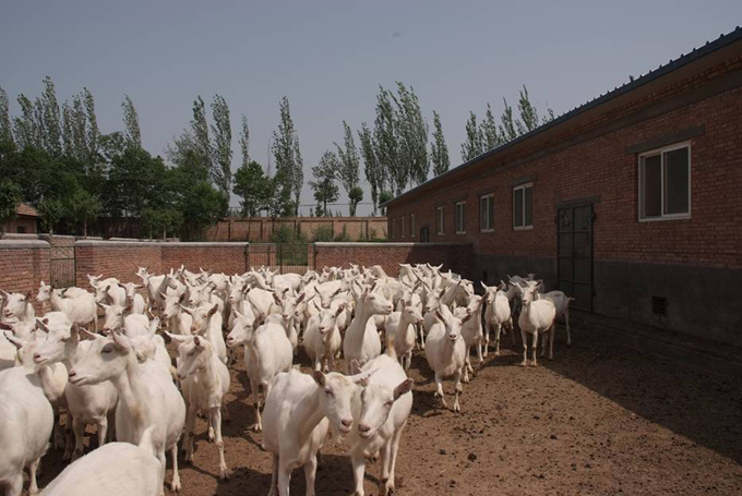 俄罗斯·专享会(中国集团)官方网站