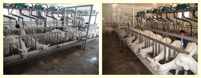 俄罗斯·专享会(中国集团)官方网站