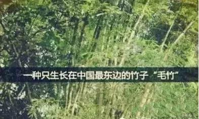 俄罗斯·专享会(中国集团)官方网站